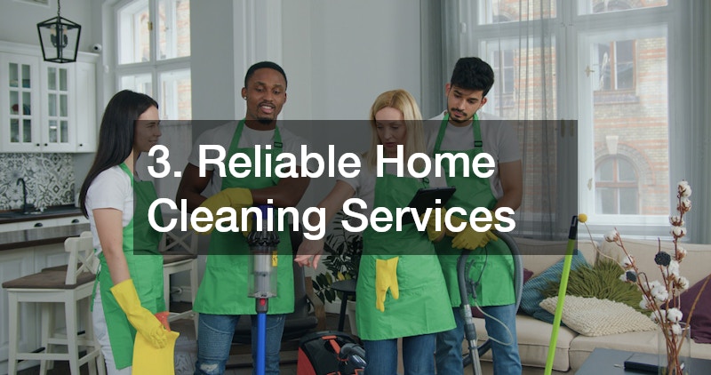 professional home cleaners