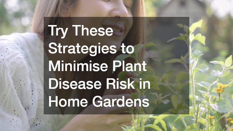 Try These Strategies to Minimise Plant Disease Risk in Home Gardens