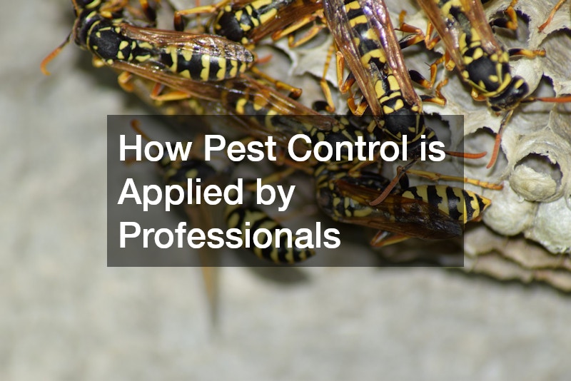 How Pest Control is Applied by Professionals